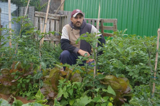 Notice to quit: Donovan Caton has an allotment full of crops which will be lost if he has to move off the site in a few weeks. Image: Dianne Tuckett