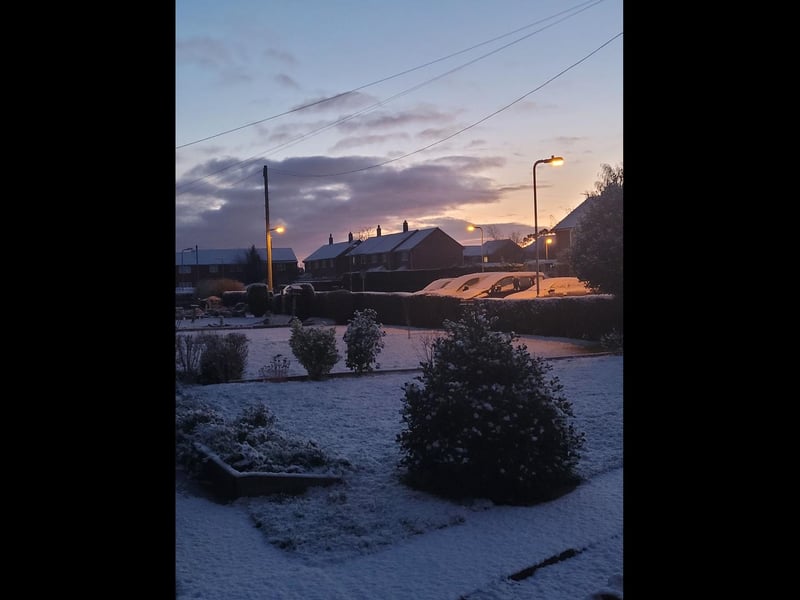 A snowy scene shared by Pam Melton.