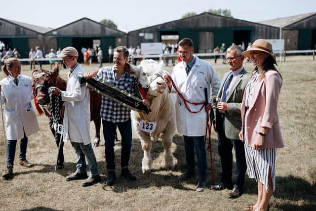 Lincolnshire Show