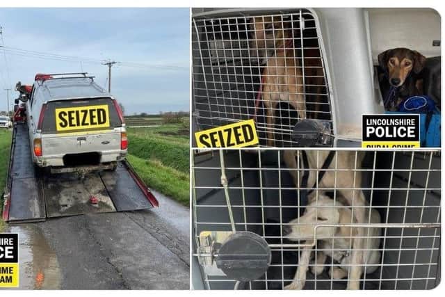 Police photos of the vehicle and dogs seized in Donington, near Boston.
