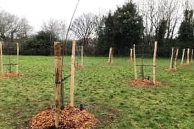 Market Rasen Community Orchard, Organised by volunteers at Rasen Area Environment Group