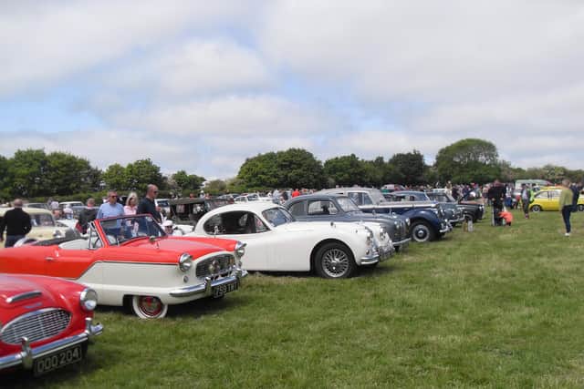 Just some of the classic cars on display at the Louth Lions classic car show. Photos: Derek Blow