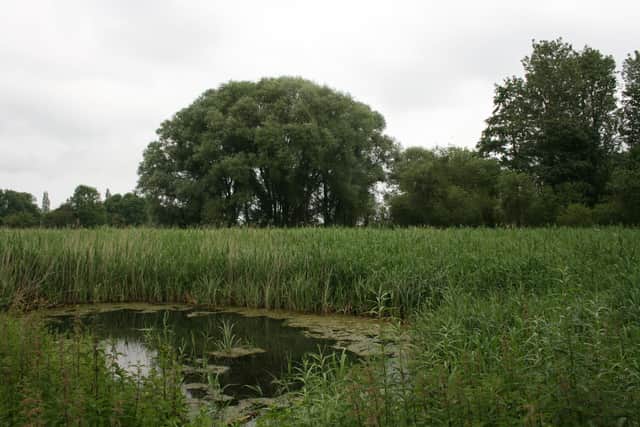 Anglian Waters aims to increase investment in the environment too - Tetney Blow Wells, Lincolnshire.