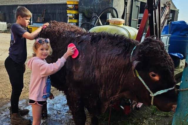 The Lincolnshire Show attracts around 60,000 visitors.