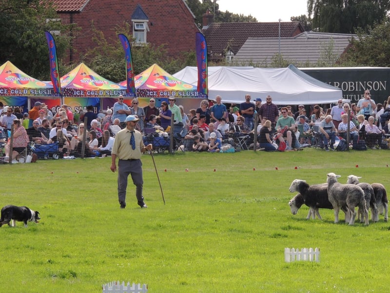 The Tom Longton Sheepdog Display.