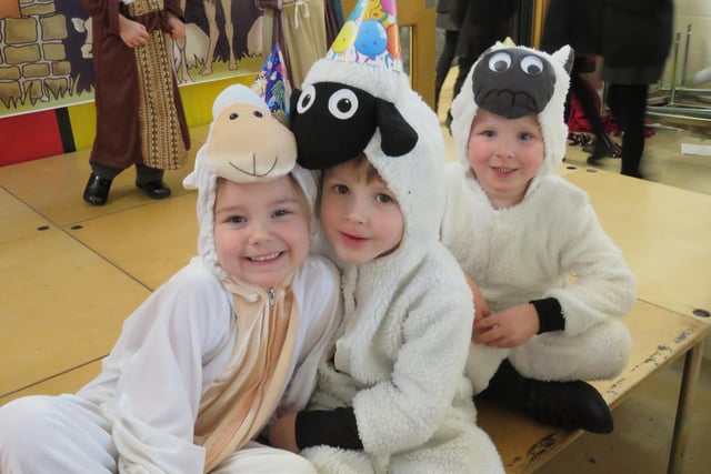Some sheepish characters in Church Lane School’s show in Sleaford.