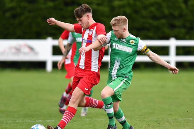 Theo Williams was among the young players to feature in the first team last season. Photo: Rob Savage.