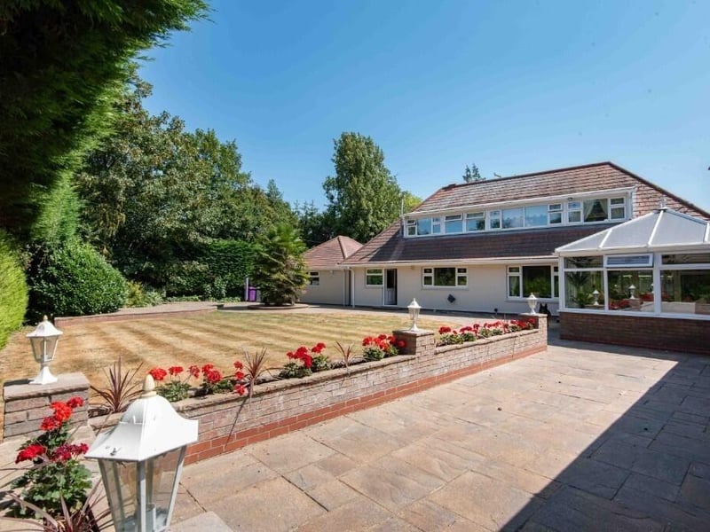 The rear garden.