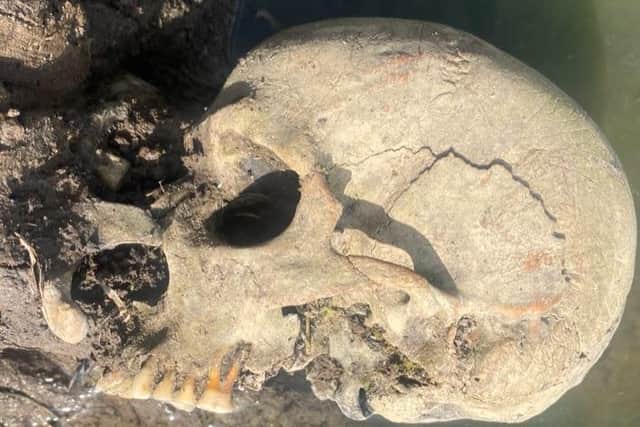 The skull found in Fulstow.