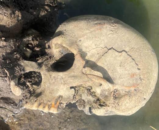 The skull found in Fulstow.
