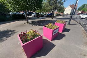 The planters on Roseway in Gainsborough