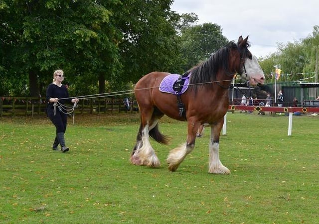 Zoe Blackmore with Oscar.