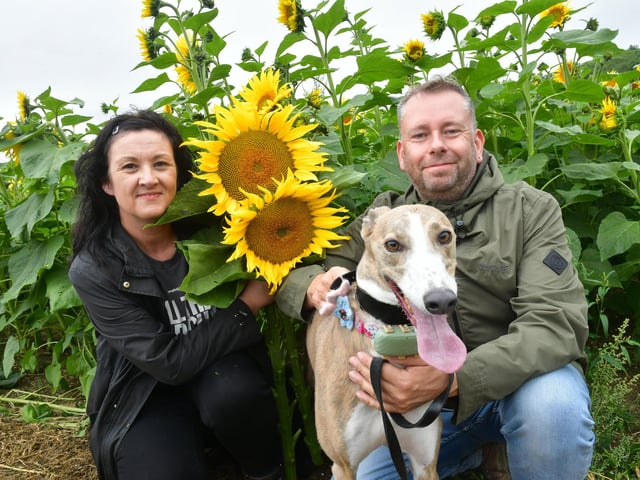 Christopher and Julie Todd of Bardney, with dog, Coco. Photo: David Dawson