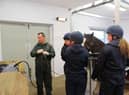 Jeremy Kemp Symonds scoping a horse with Strangles.