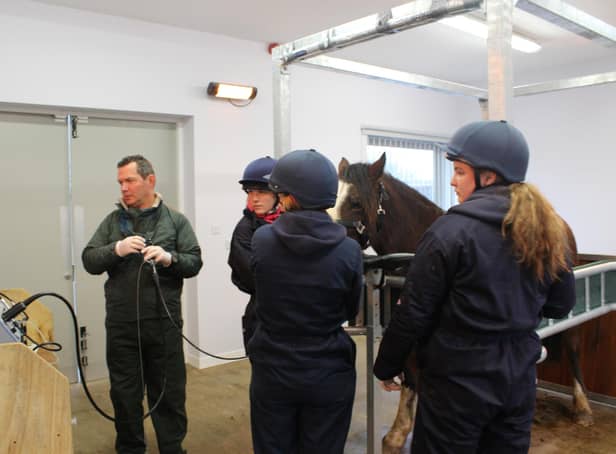 Jeremy Kemp Symonds scoping a horse with Strangles.
