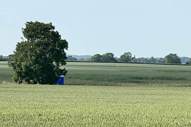 The scene in Fulstow where a skull was found.