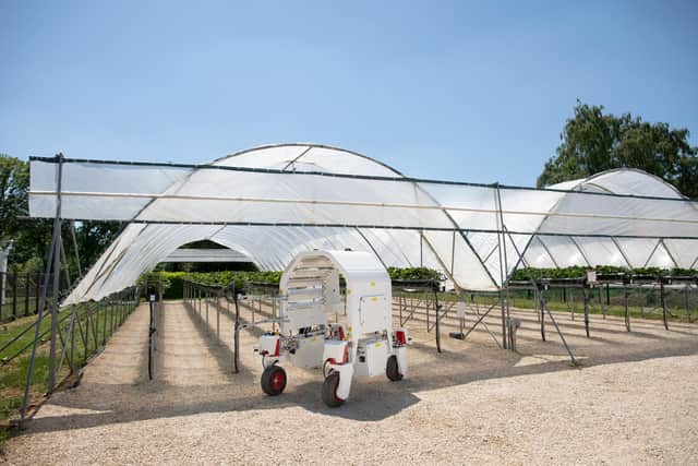 Agri-Robotics and Polytunnels at Riseholme Campus