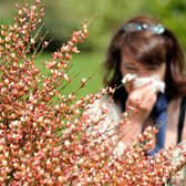 Hay-fever or COVID-19: Key differences you need to know as pollen season begins