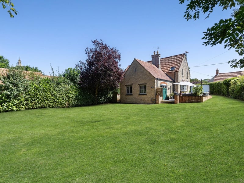 More of the garden.