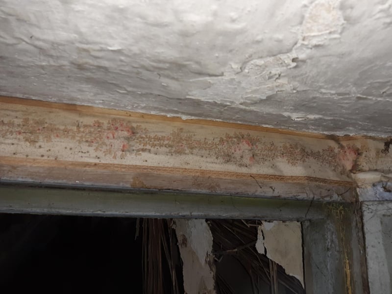 Wallpaper above one of the doors in the attic, another clue that people may have resided there.