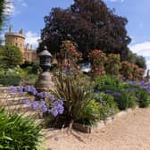 Flower and Garden Show at Belvoir Castle
