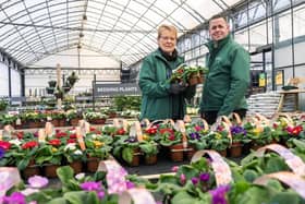 Dobbies wants your help in selecting a good cause to help.