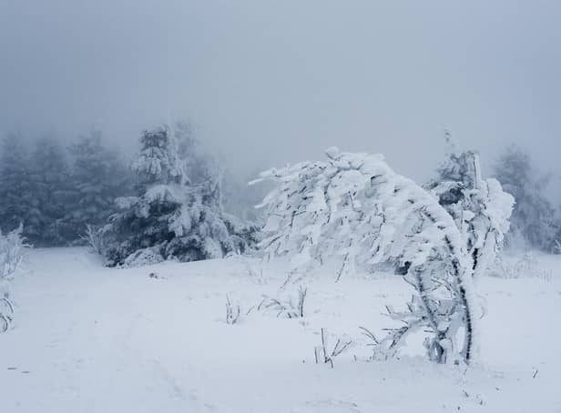 A reader remembers the Big Freeze of '63.