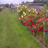An open garden event is to be held at Boston's Willoughby Road Allotments.