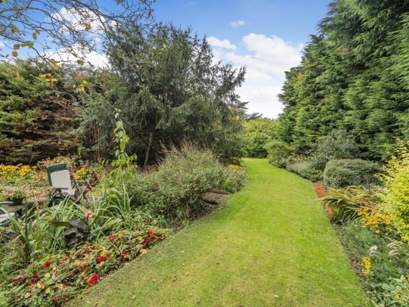 More of the garden.