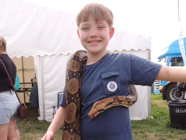 Charlie Magee, 11, of Sleaford meets a large snake at the Matt's Minibeasts tent.