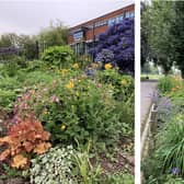 Some of the many floral displays around Boston: Left: Outside the police station, and right: Central Park.