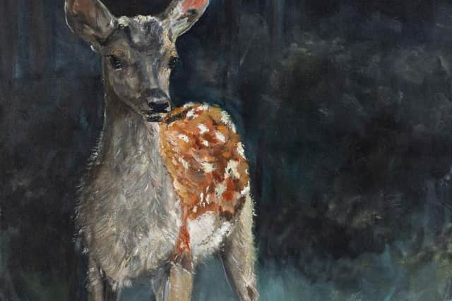 Red deer calf