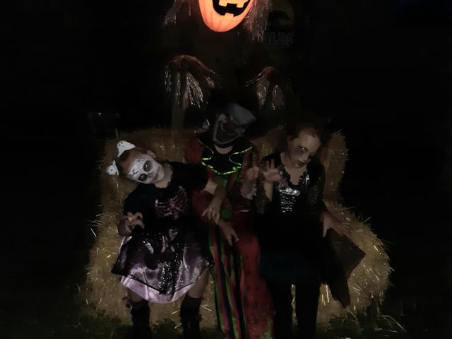Isla Bonner, 7, Tyler Jackson, 10 and Mia Binner, 9 at Wolds Wildlife Park's Halloween event.