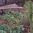 A trap found on a pole. Photo: Lincs Police