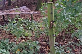 A trap found on a pole. Photo: Lincs Police