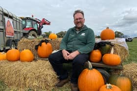Steve Elnor  at the pumpkin patch at Barkston Farm.