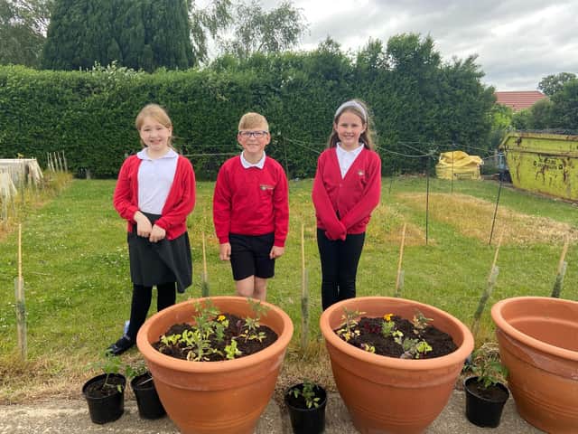 Youngsters from Hawthorn Tree Primary School, in Boston - the latest Helping Your Community Grow winners.