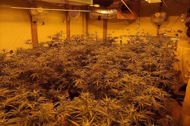 The cannabis grow found in an extension at a home in Sleaford Road, Boston.