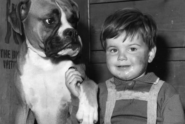 Young Simon Reilly with his family's dog 'Braxburn Cock o' the North' who won the Boxer class at the Scottish Kennel Club Championship in Waverley Market.