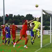 Tom Ward prepares to bundle home the equaliser on Saturday. Photo: Steve W Davies Photography.