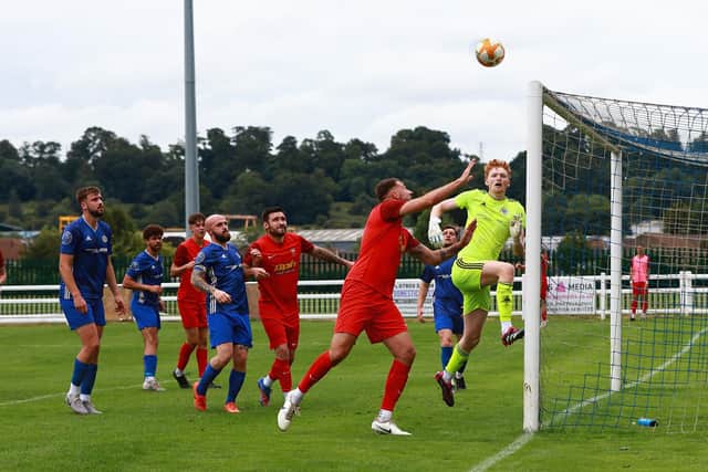 Tom Ward prepares to bundle home the equaliser on Saturday. Photo: Steve W Davies Photography.