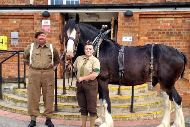 Bomber the Shire horse with his owners Eve Miller and Jon Davison at the screening of War Horse.