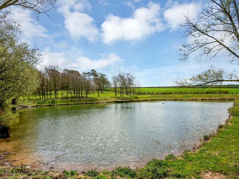 The pond.