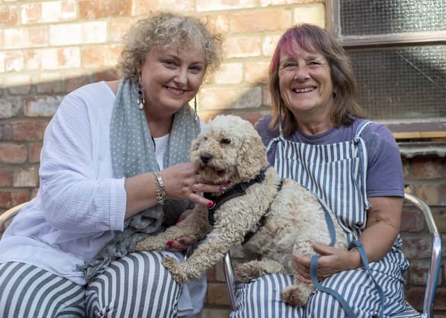 Images from Sleaford's Thank Folk for the Ivy festival. Photo: Holly Parkinson