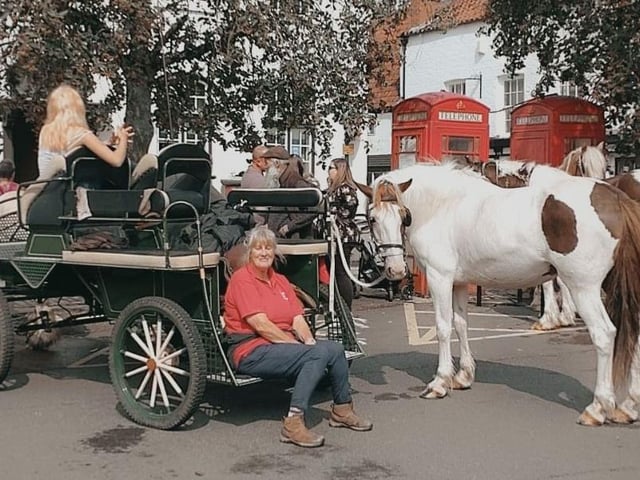 Time for a breather during a busy day on the Horncastle carriage-drive.