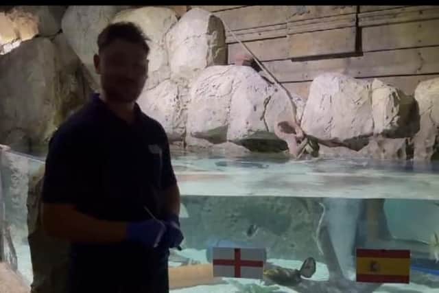 How Skegness Aquarium predicted the Euro 24 final