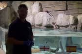 How Skegness Aquarium predicted the Euro 24 final