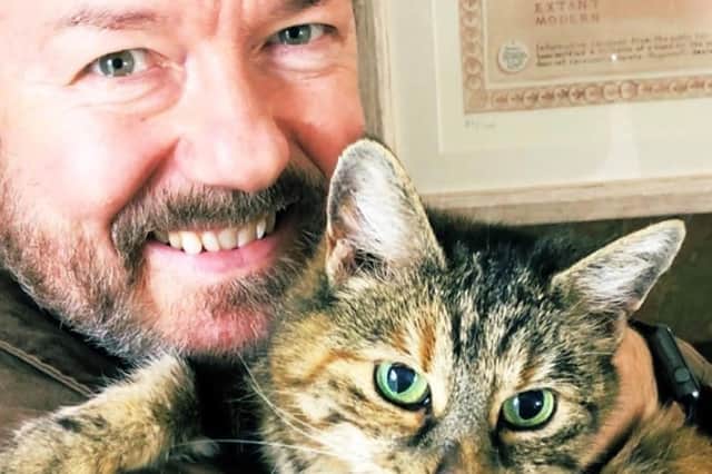 The appeal is being supported by comedian and animal lover Ricky Gervais.