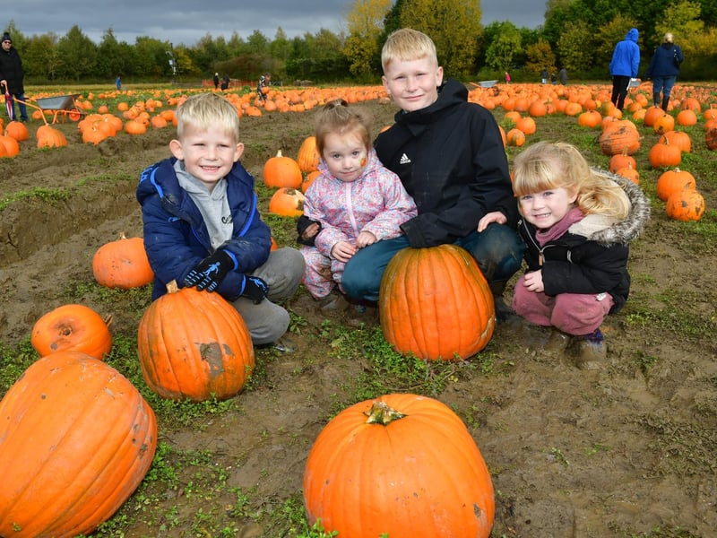 Pictured (from left) Jacob Sanders, six, Bella Neal, three, Bailey Sanders, 11, and Ivy Sanders, three, of Swineshead