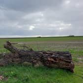 Land near Scredington proposed for the new reservoir.